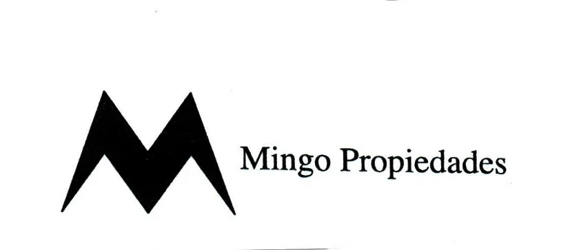 M MINGO PROPIEDADES