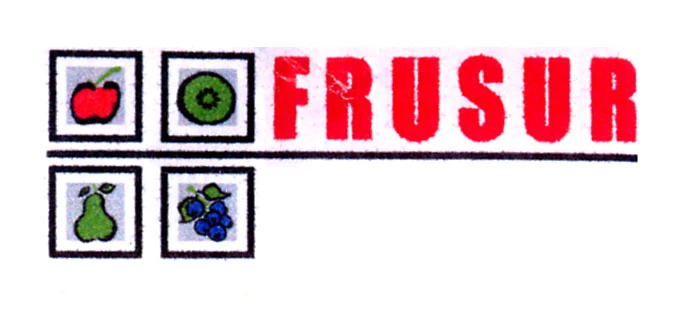 FRUSUR