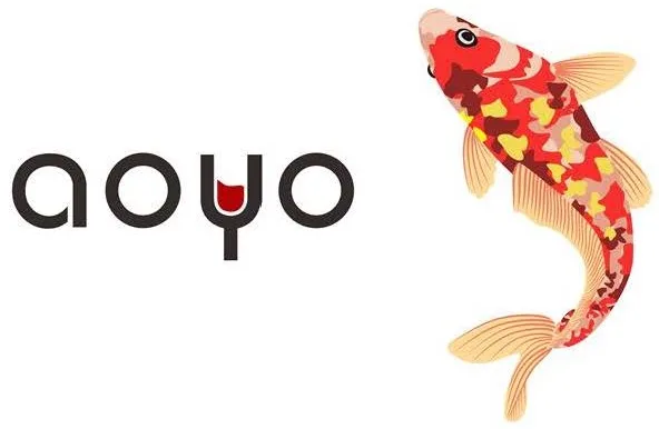 aoyo