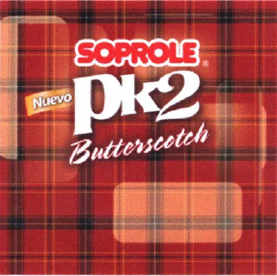 SOPROLE NUEVO PK2 BUTTERSCOTCH