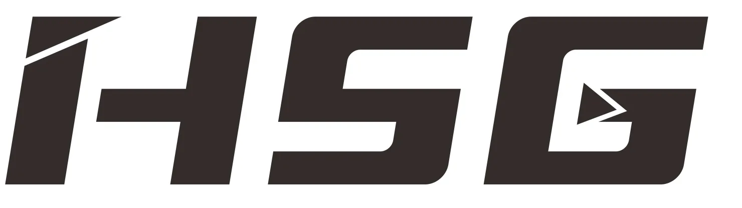 HSG
