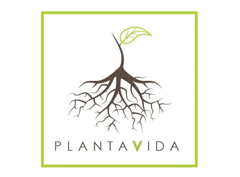 PLANTA VIDA