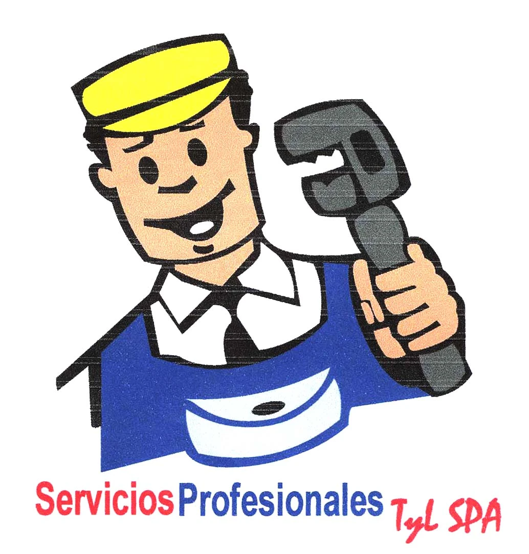 SERVICIOS PROFESIONALES T Y L SPA