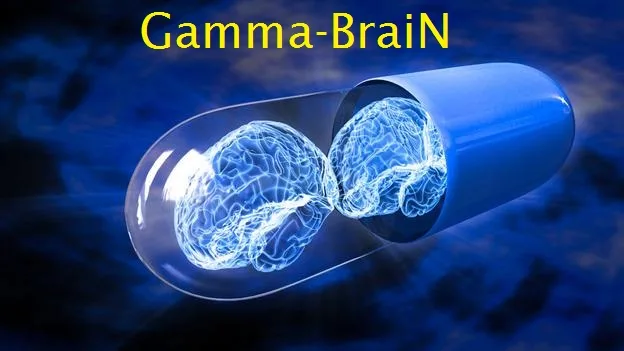 Gamma-Brain