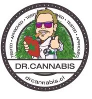 DR. CANNABIS
