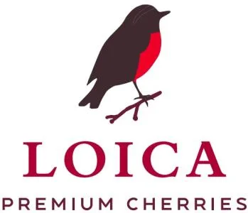 LOICA PREMIUM CHERRIES