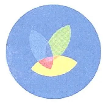 Acta 800672