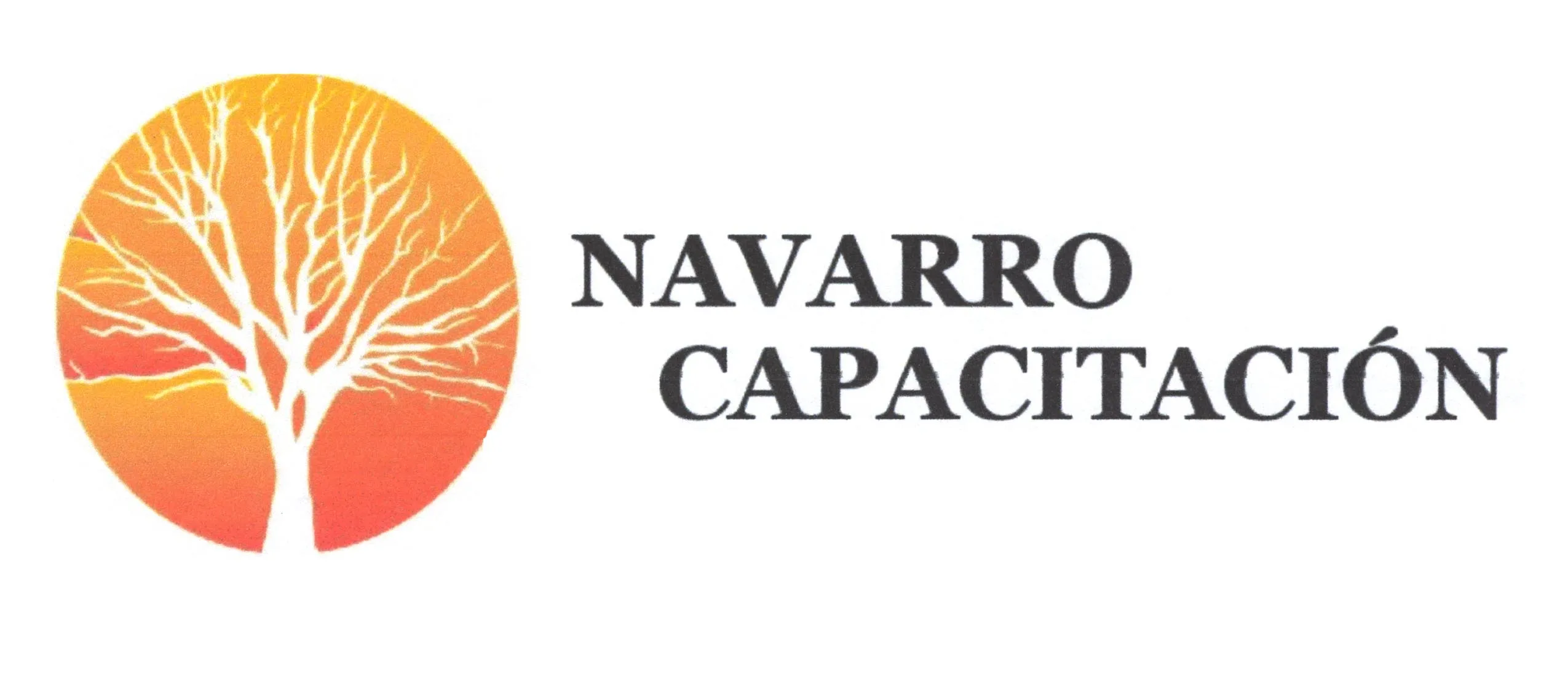 NAVARRO CAPACITACION