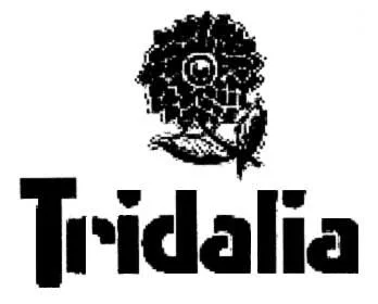 TRIDALIA