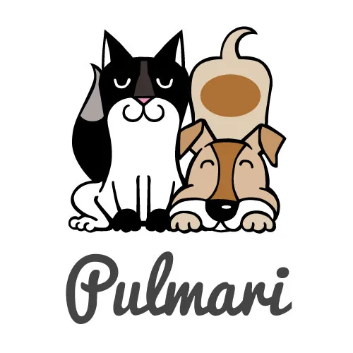 PULMARI