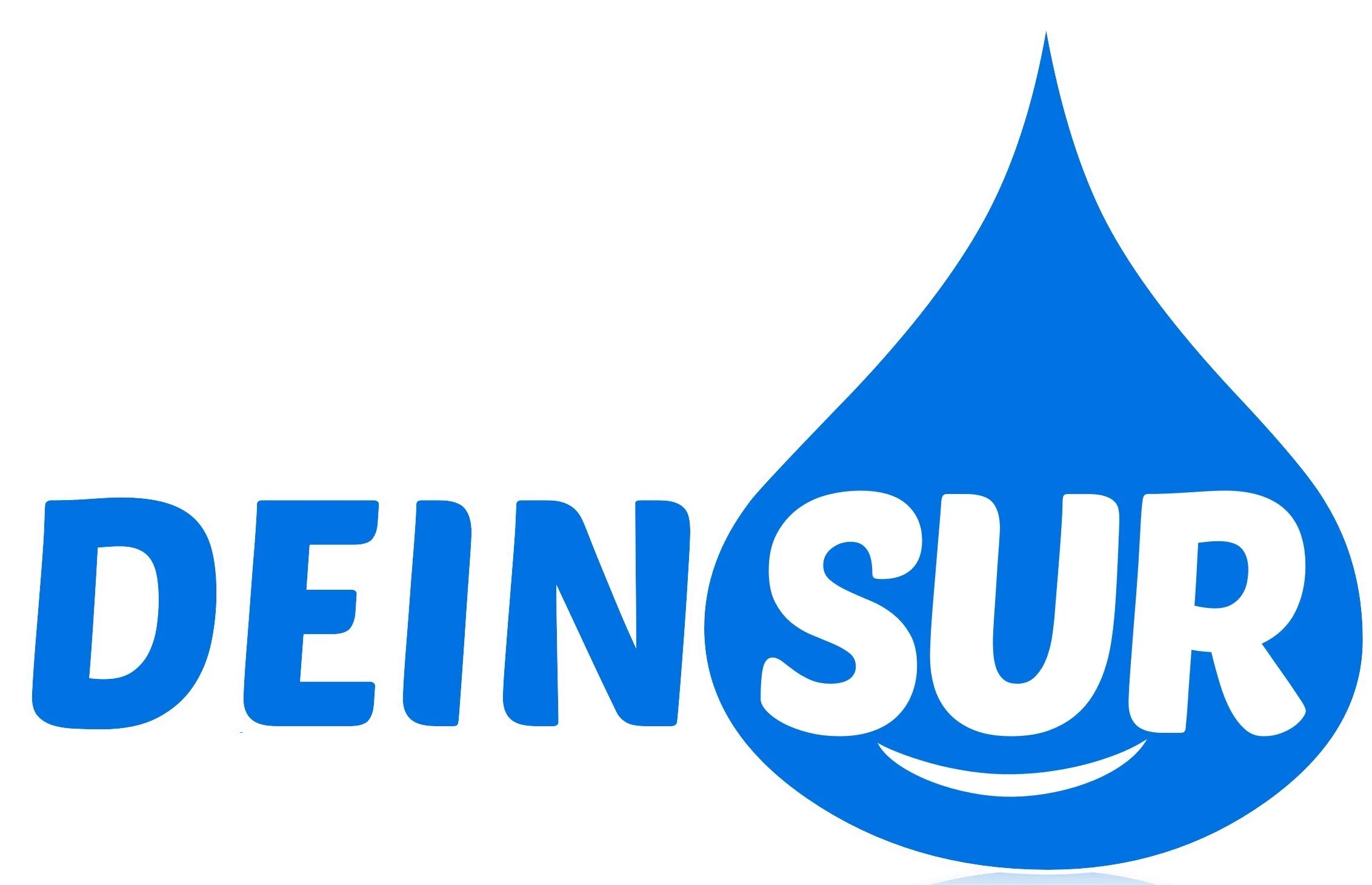 DEIN SUR