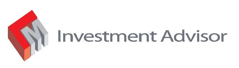LM INVESTMENT ADVISOR