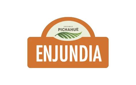 Pichahue Enjundia