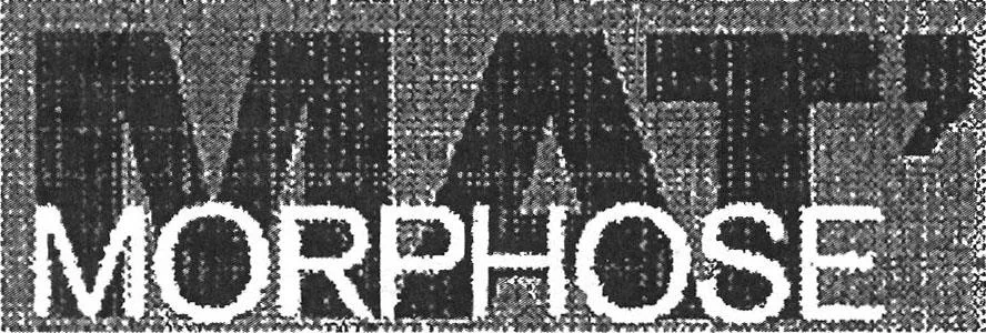 MAT MORPHOSE