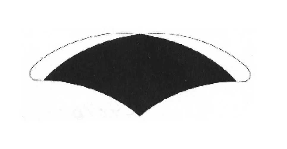 Acta 924676