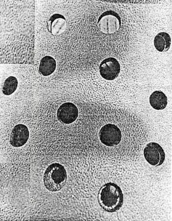 Acta 1234677