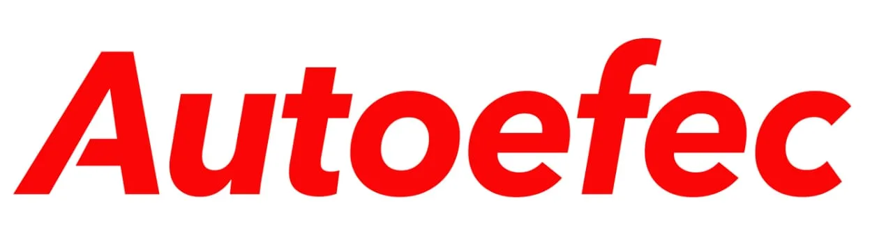Autoefec