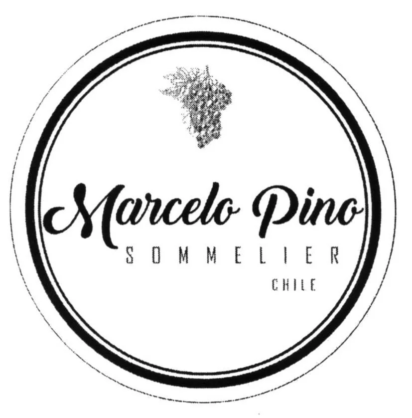MARCELO PINO SOMMELIER CHILE