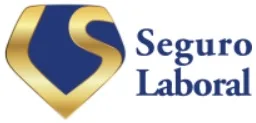 LS SEGURO LABORAL