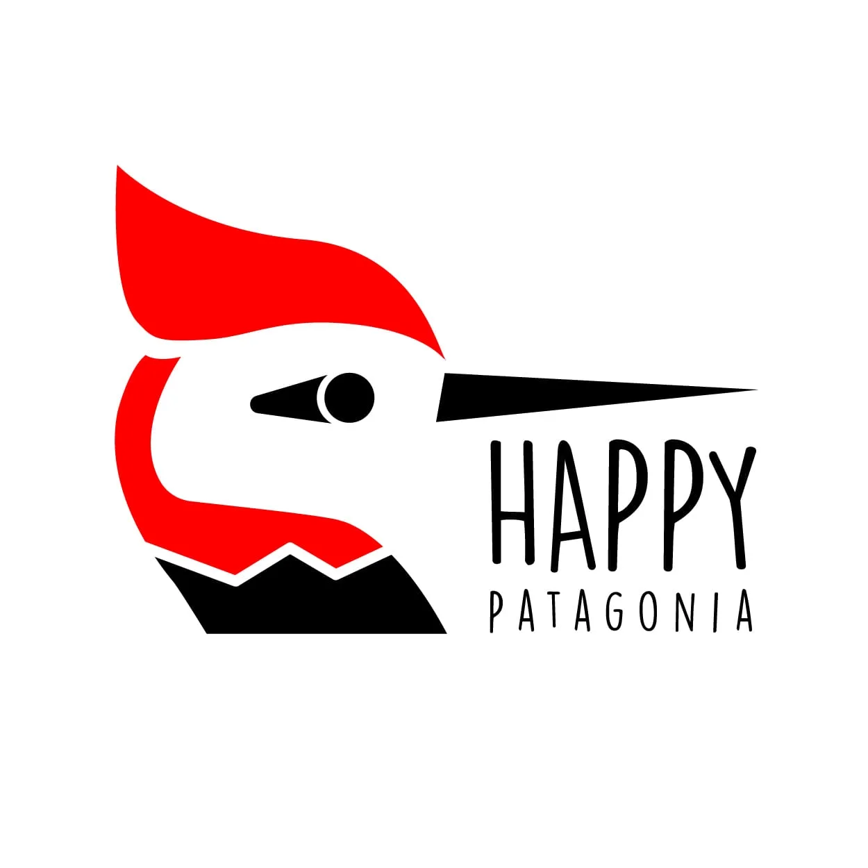 Happy Patagonia