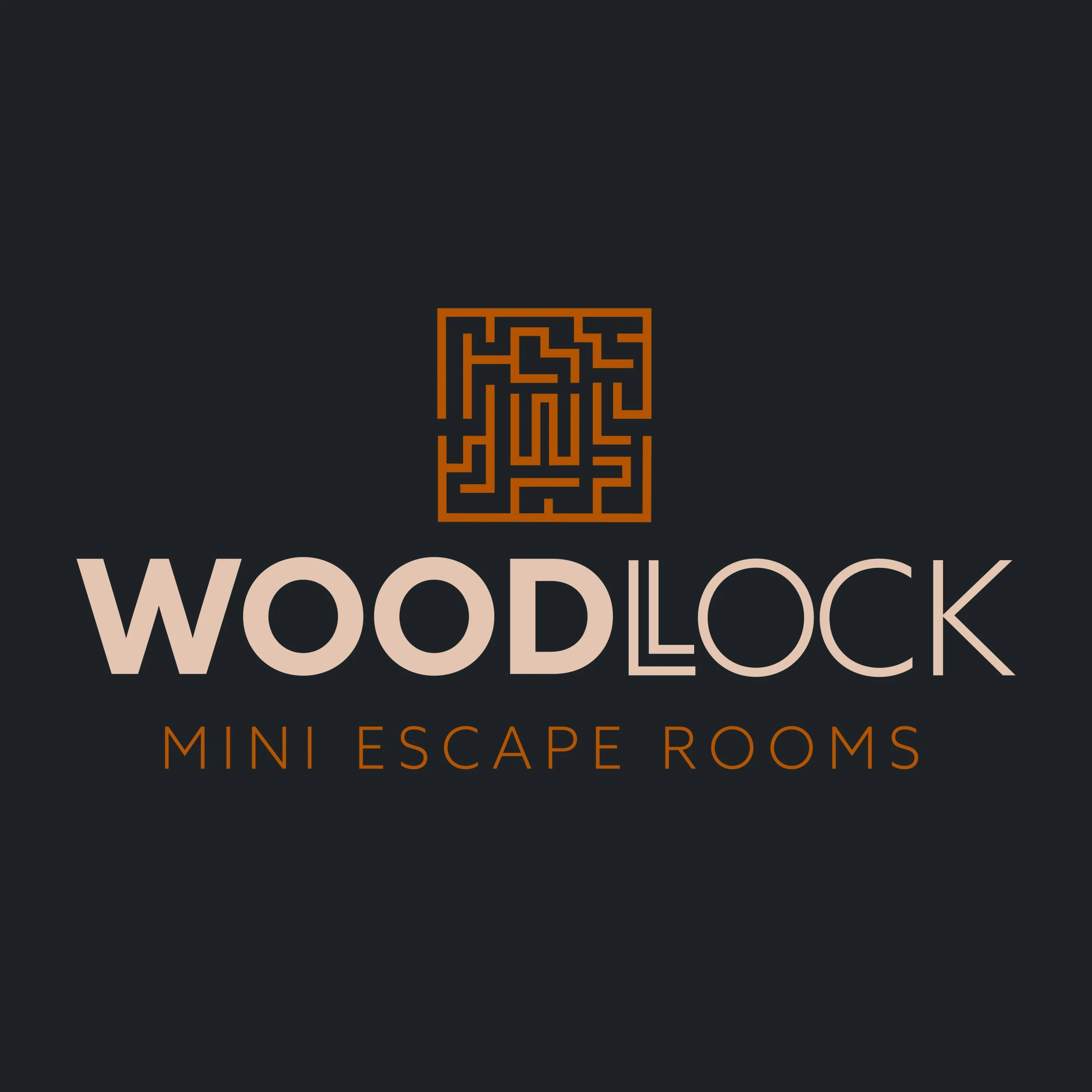 Woodlock mini escape rooms