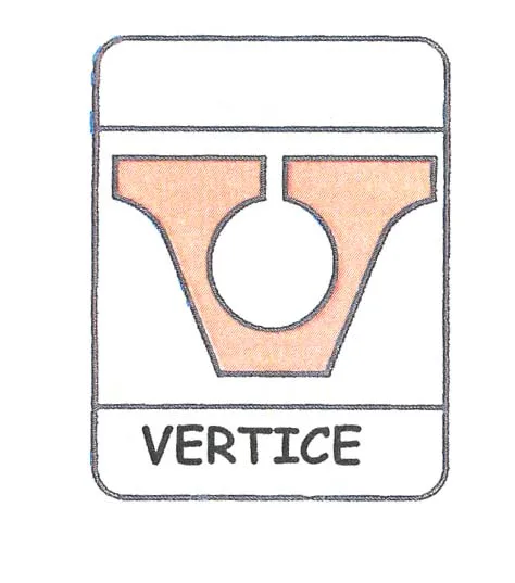 V VERTICE