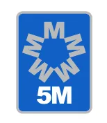 5M