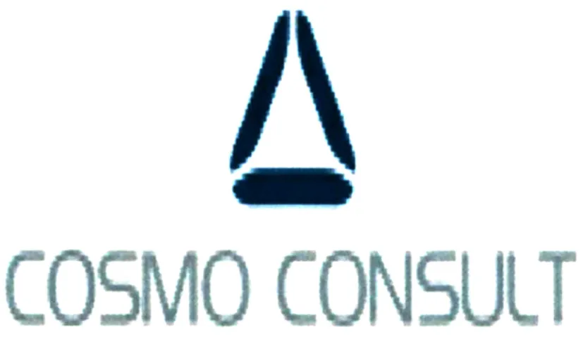 COSMO CONSULT