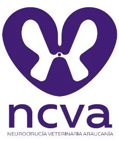 NCVA