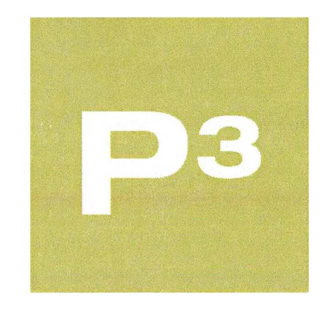 P3