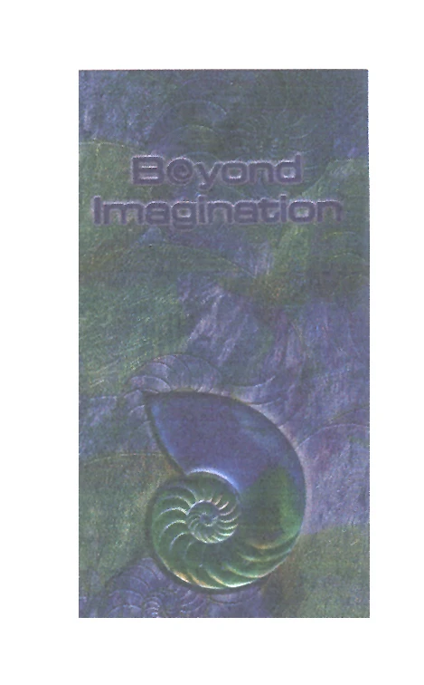 BEYOND IMAGINATION