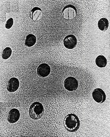 Acta 1212686
