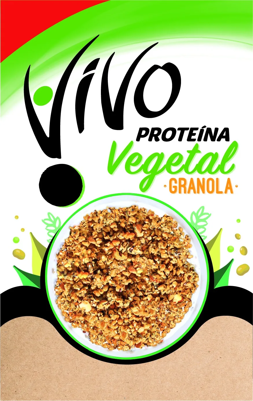 VIVO PROTEINA VEGETAL GRANOLA
