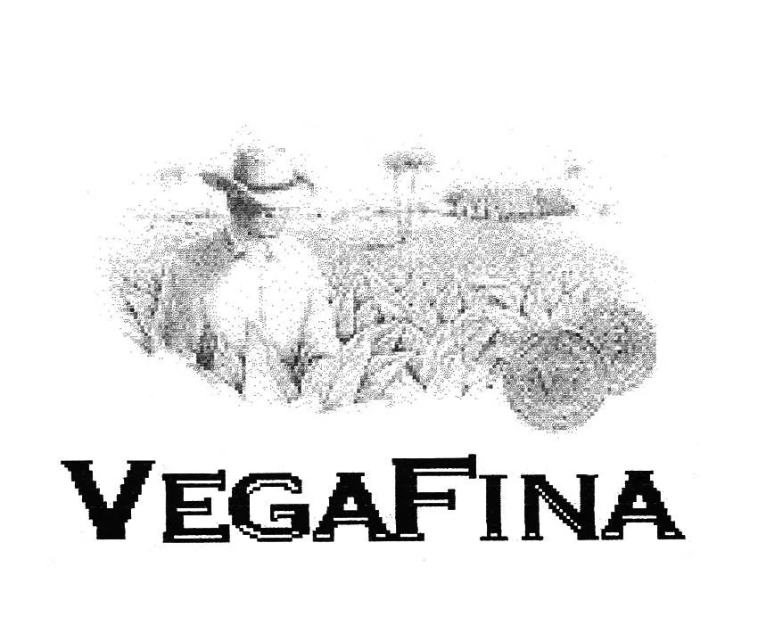 VEGAFINA