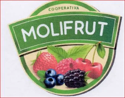 Cooperativa Molifrut