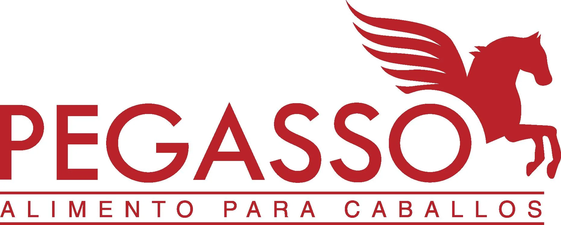 PEGASSO ALIMENTO PARA CABALLOS