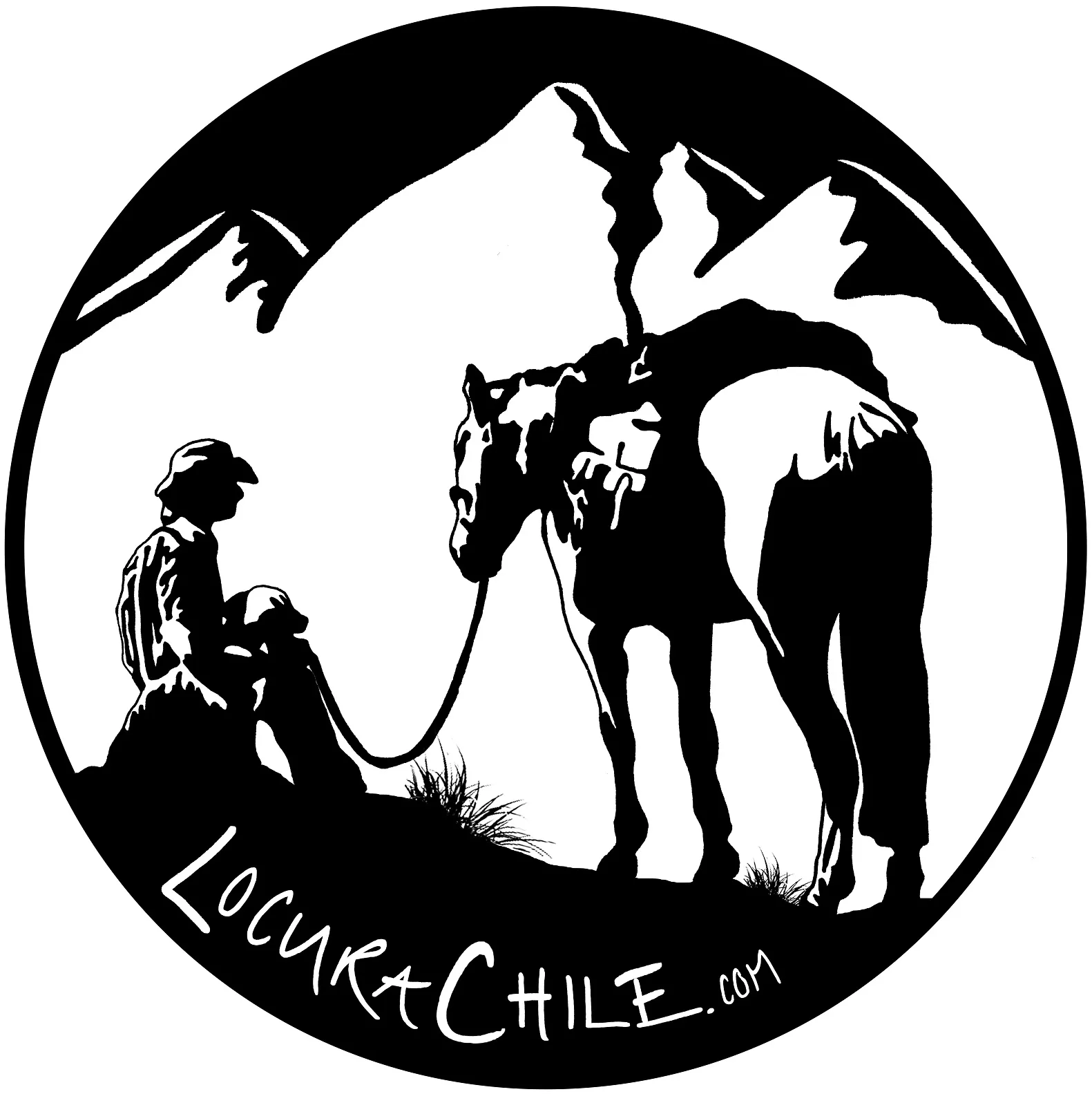LocuraChile.com