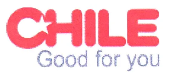 CHILE GOOD FOR YOU