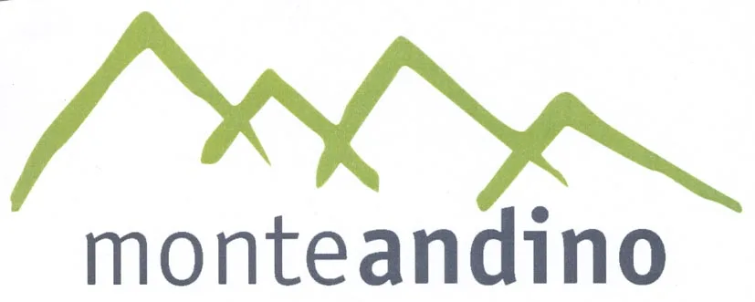 MONTE ANDINO