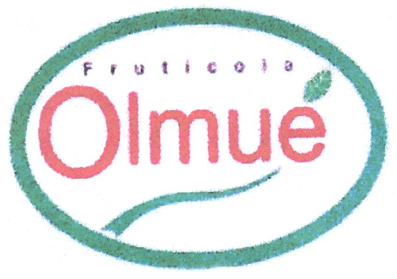 FRUTICOLA OLMUE
