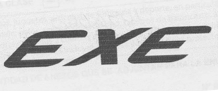 EXE