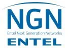 NGN ENTEL NEXT GENERATION NETWORKS