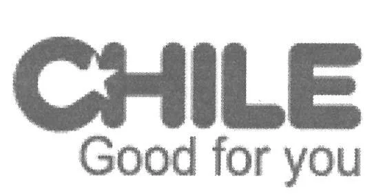 CHILE GOOD FOR YOU