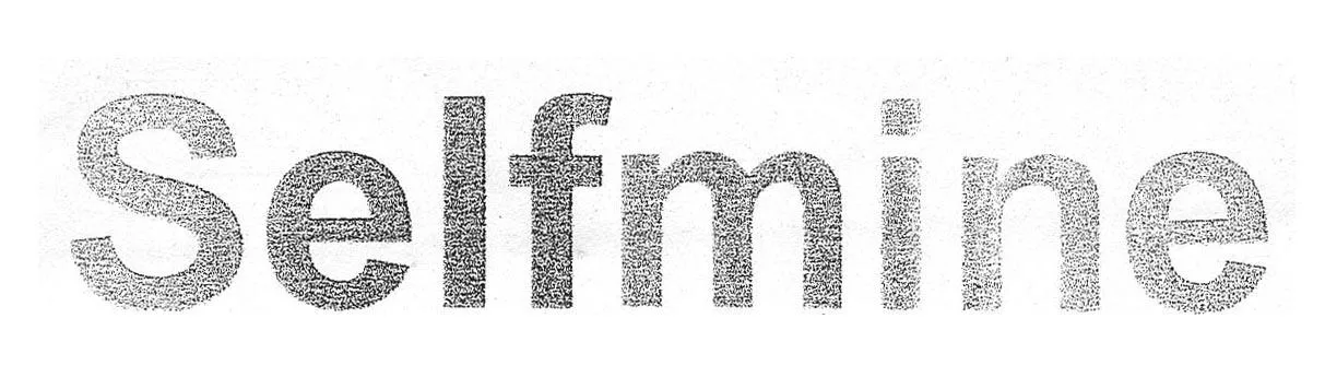 SELFMINE