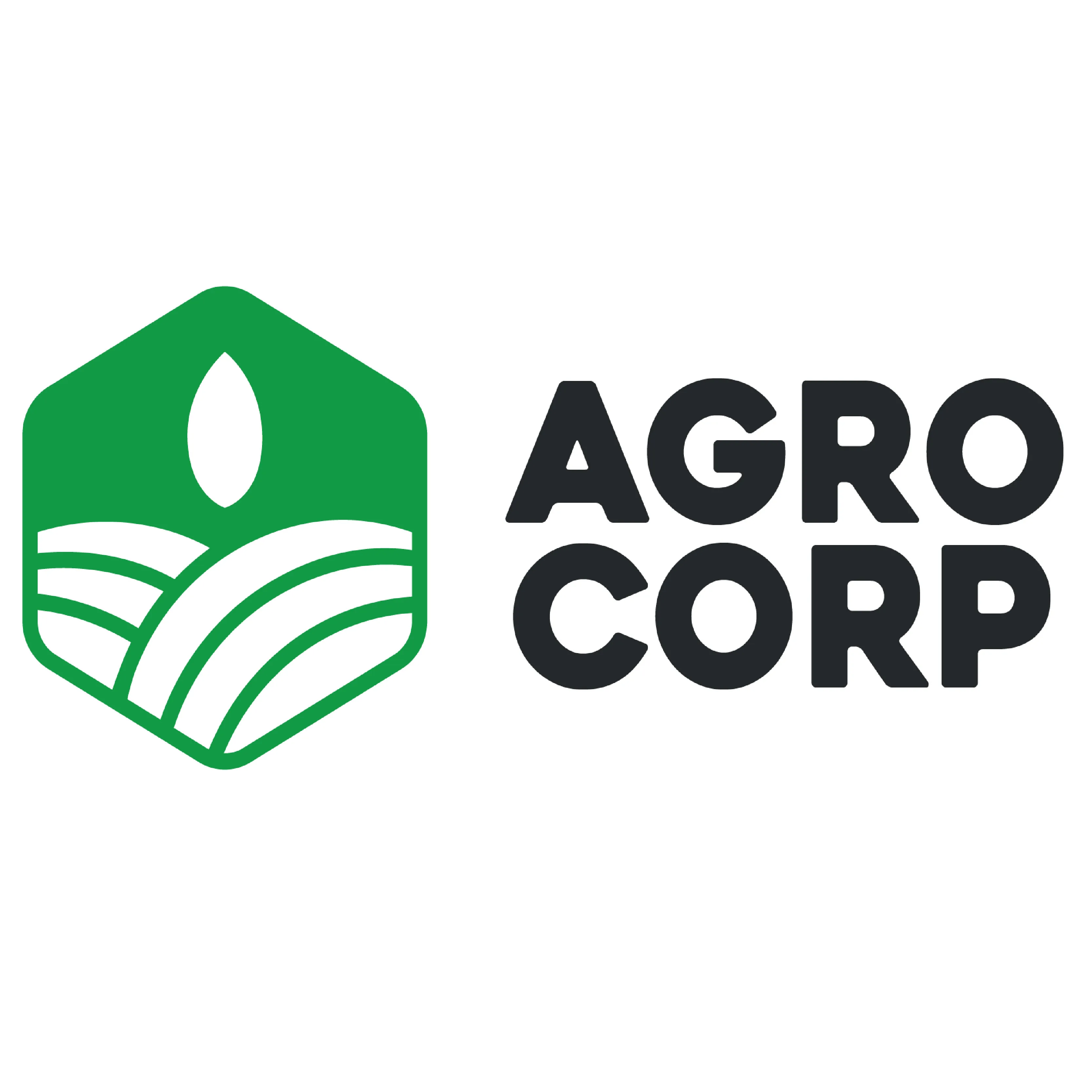 AGRO CORP