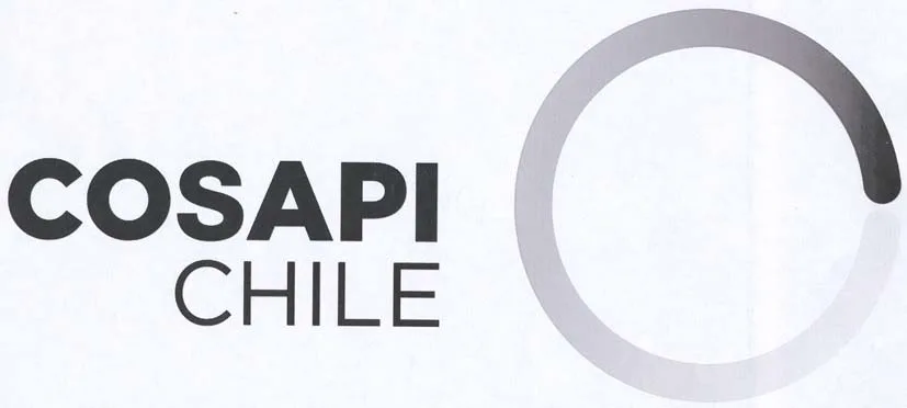 COSAPI CHILE