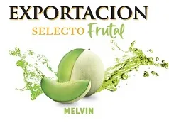 EXPORTACIÓN SELECTO FRUTAL MELVIN