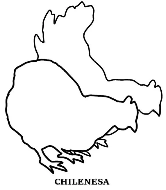 CHILENESA