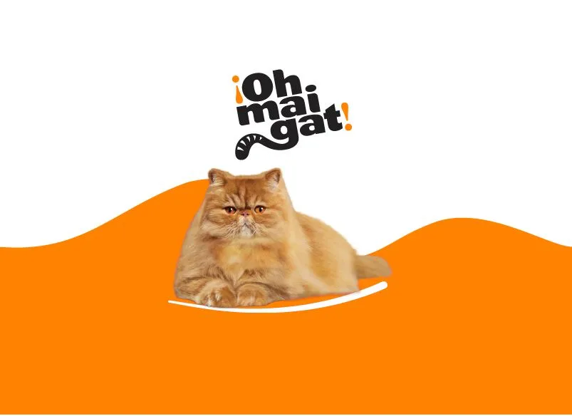 ¡OH MAI GAT!