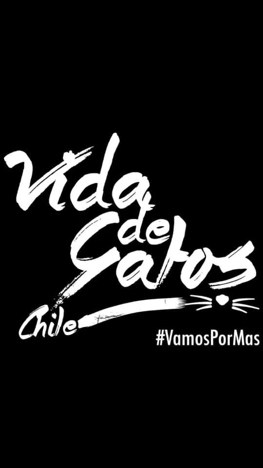 Vida de Gatos Chile